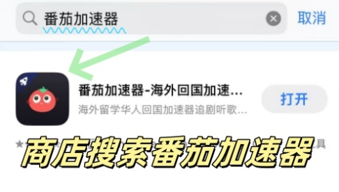 海外回国vpn 推荐教程